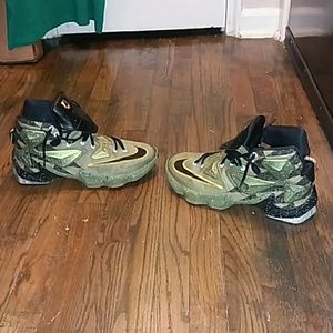 Nike LeBron James AKRONITE